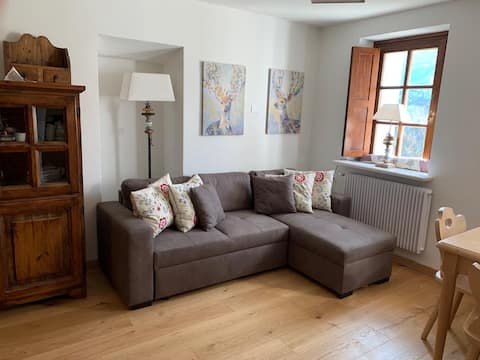 Airbnb con migliori performance: Renovated apartment with a view of Pelmo a San Vito Di Cadore