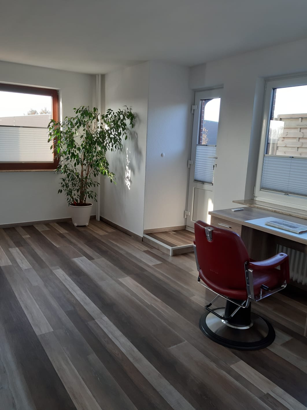 A well-lit room features a large window allowing natural light to flood in. A potted plant is positioned in the corner, and a red salon chair is present on a circular base. A desk sits against the wall, alongside a door leading outside.