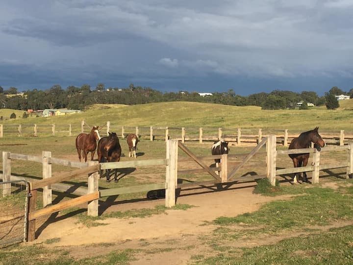 10 Best Airbnb Vacation Rentals In Metung, Australia Updated 2024