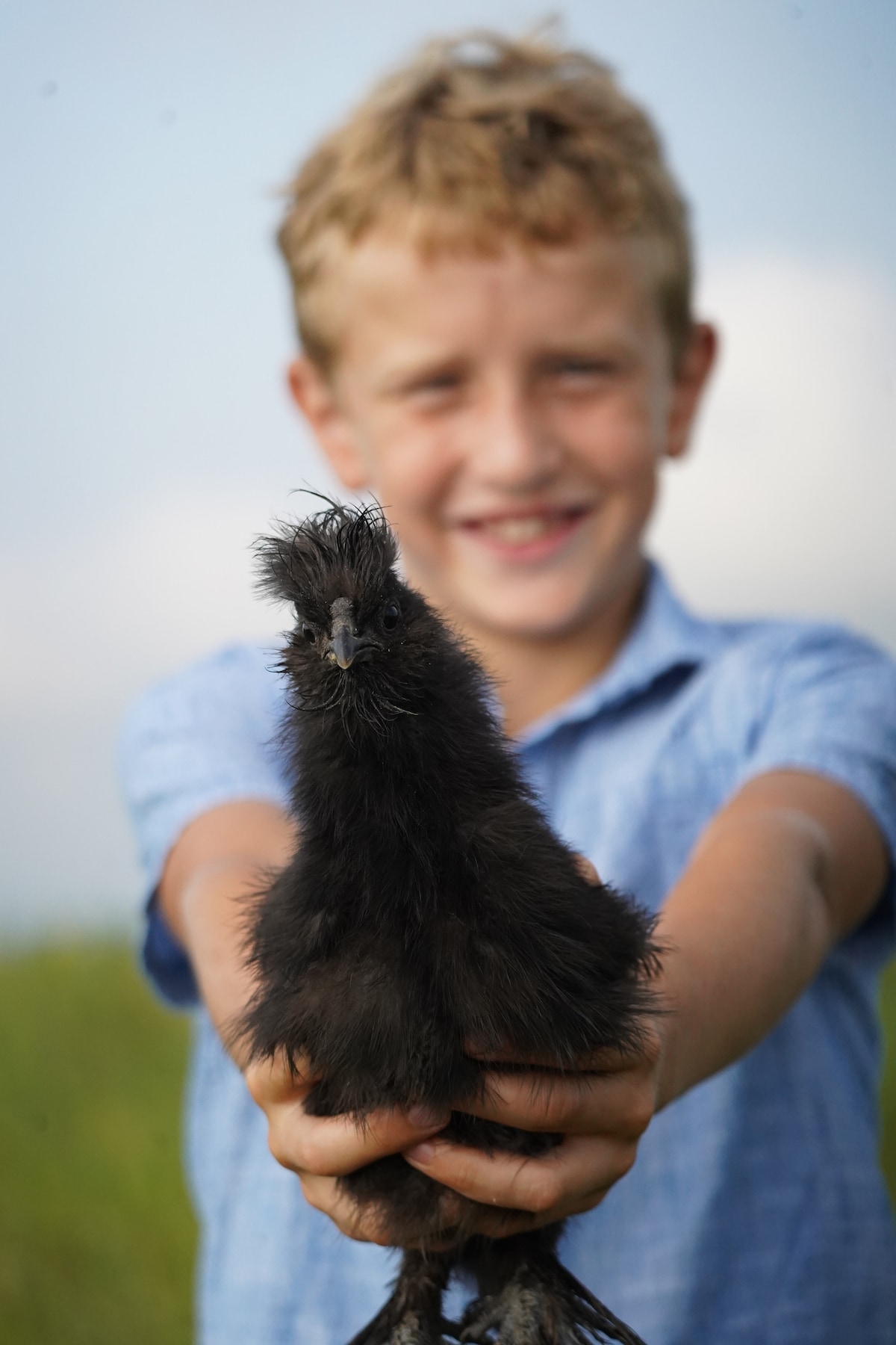 A child stands in an open field, holding a small black chick in both hands. The background features a soft blue sky with gentle clouds, creating a serene outdoor atmosphere.