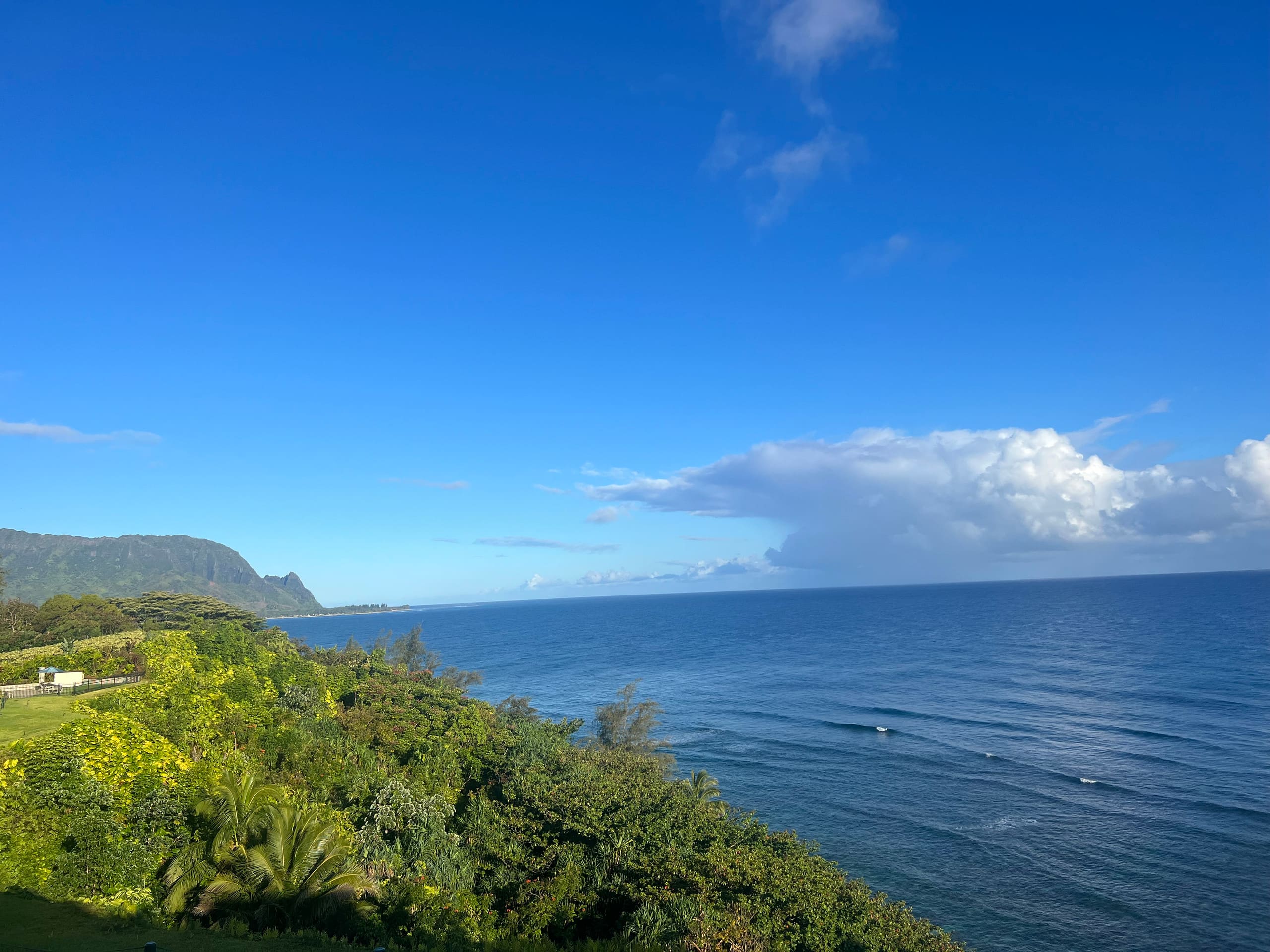 Condo in Princeville · ★5.0 · 2 bedrooms · 3 beds · 2 baths - Image 30