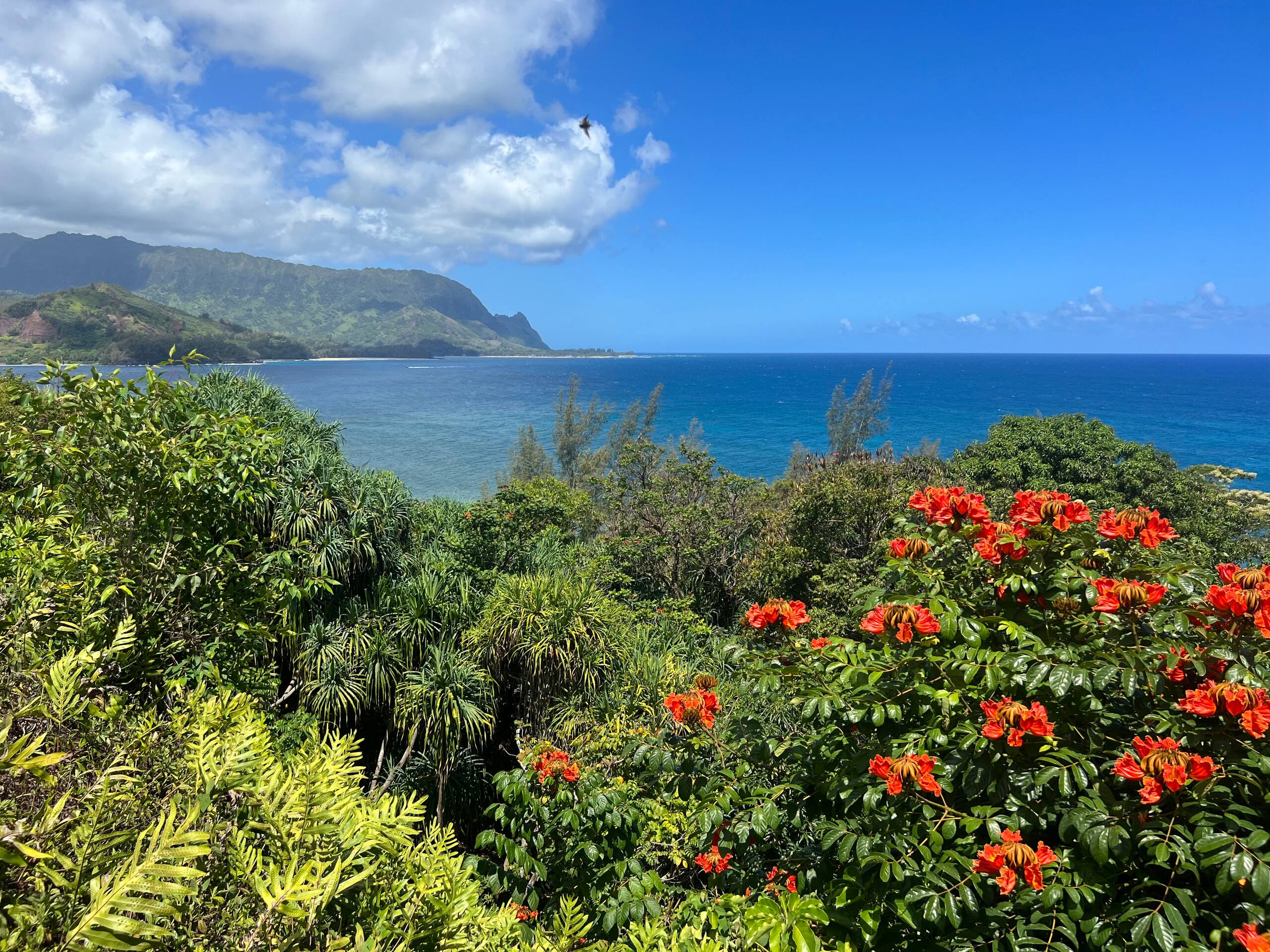 Condo in Princeville · ★5.0 · 2 bedrooms · 3 beds · 2 baths - Image 39
