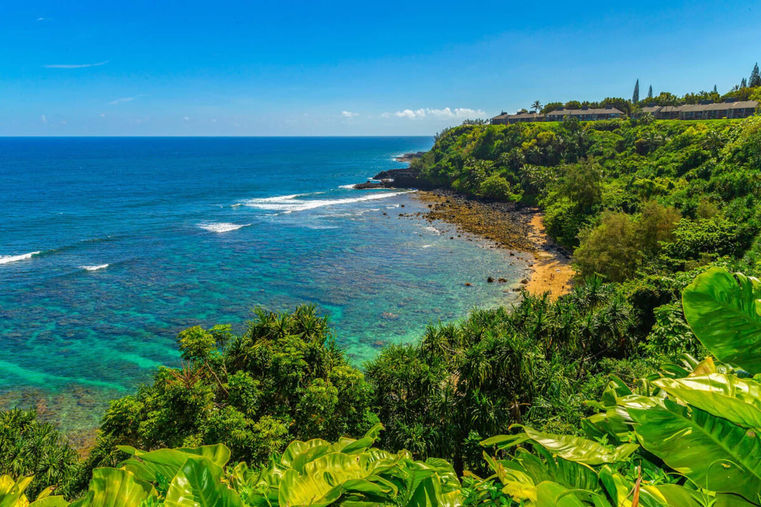 Condo in Princeville · ★5.0 · 2 bedrooms · 3 beds · 2 baths - Image 36