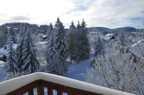 Bright apartment, unobstructed village and mountain views