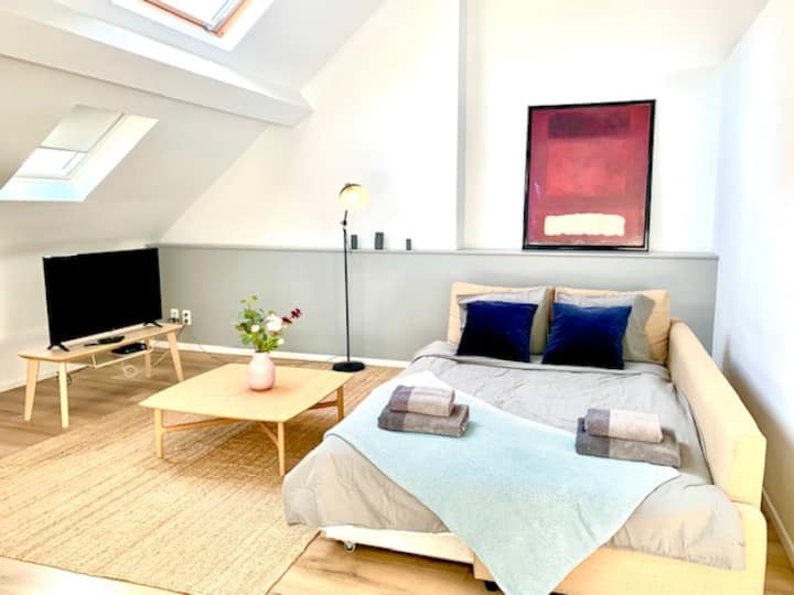 Rooftop Apartment 6 Pax Au Plein Cœur D'anvers - Amberes, Bélgica