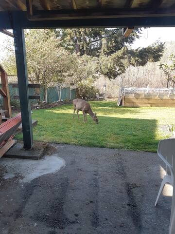 Bright and Spacious / On Quiet Nature Sanctuary gallery image 2