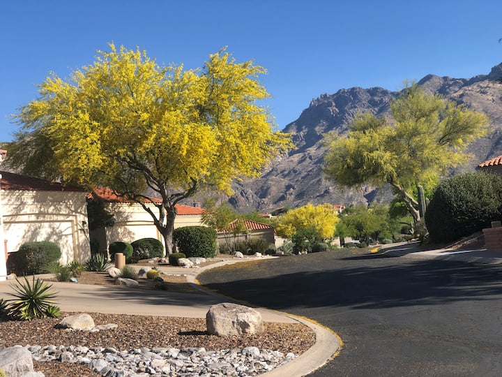 Calm Quiet Retreat - Tucson, AZ