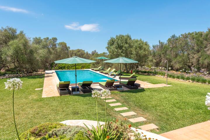 Los Hibiscus – a luxury contemporary finca gallery image 2