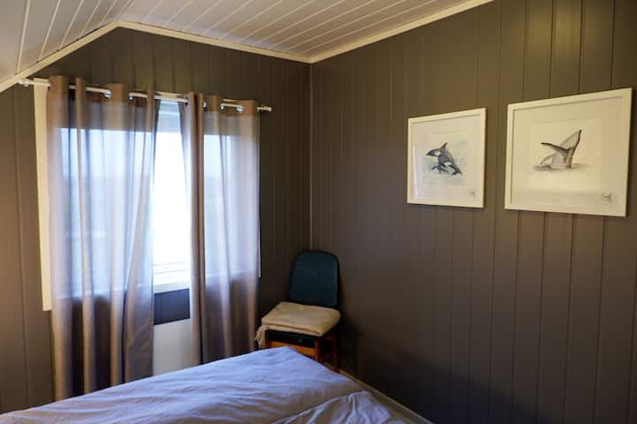 Blueroom - Room