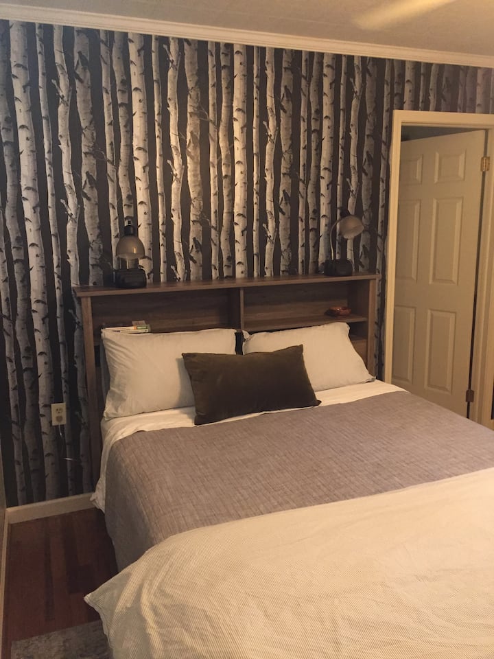 Chumba cha kulala cha Ukumbi #2 kilicho na chumba cha kulala na kitanda cha malkia, kabati kubwa na feni ya dari