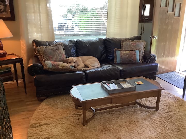 Top 10 PetFriendly Rentals In Laramie, Wyoming Updated 2024 Trip101