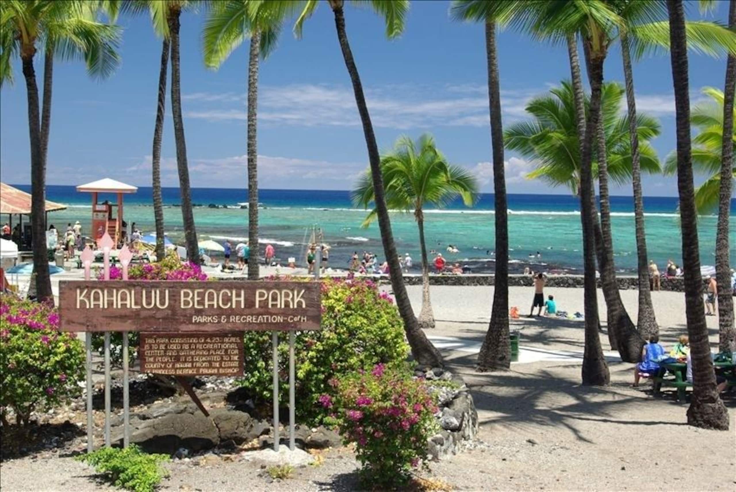 Home in Kailua-Kona · ★4.93 · 3 bedrooms · 6 beds · 3 baths - Image 49