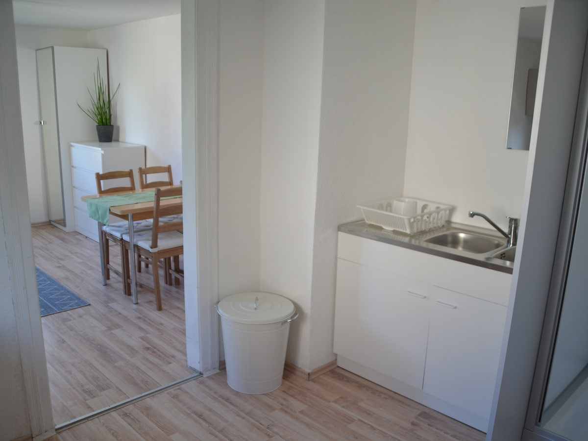 The image features a compact kitchenette with a stainless-steel sink and countertop, alongside a white cabinetry. A dining area is visible in the background, furnished with a wooden table and four chairs. The floor showcases light-colored wooden planks, enhancing the space's brightness.