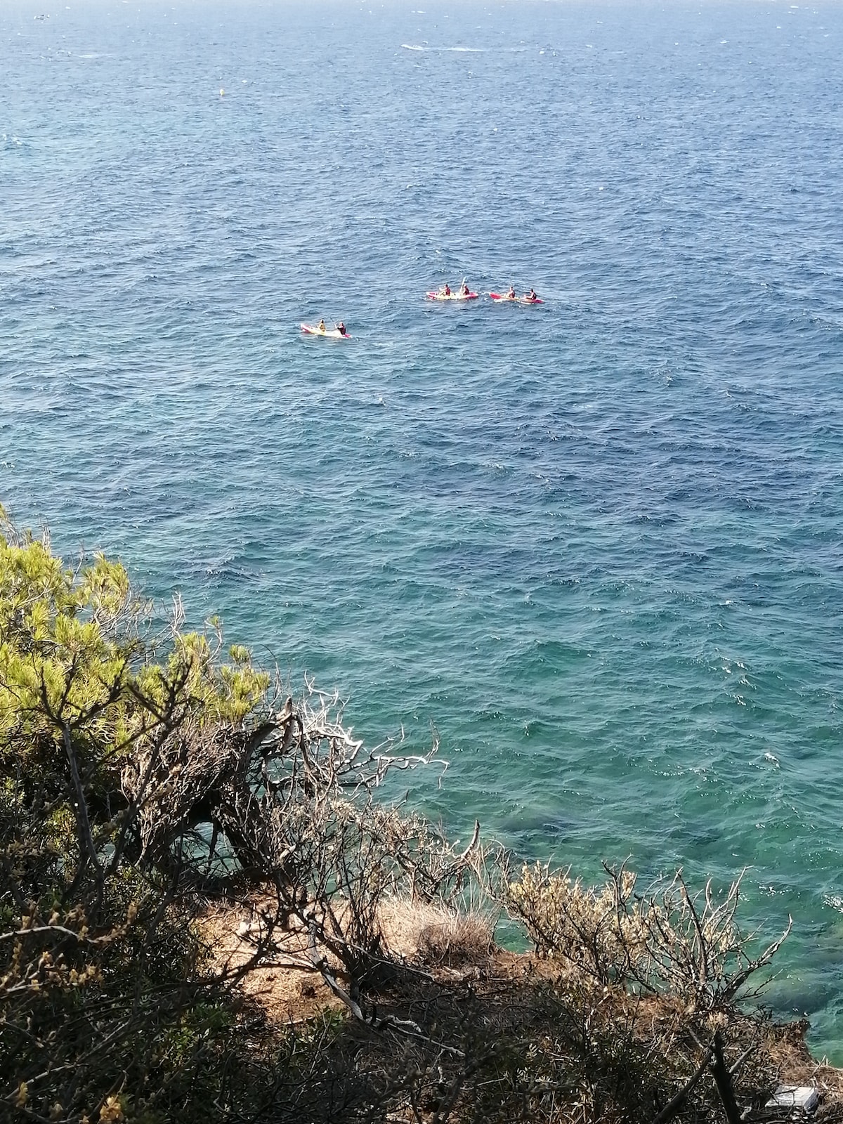 A view of calm blue waters showcasing a group of individuals engaged in a paddling activity, surrounded by rocky shoreline and greenery. The scene is bright, with sunlight reflecting off the water, creating a serene beachfront atmosphere.