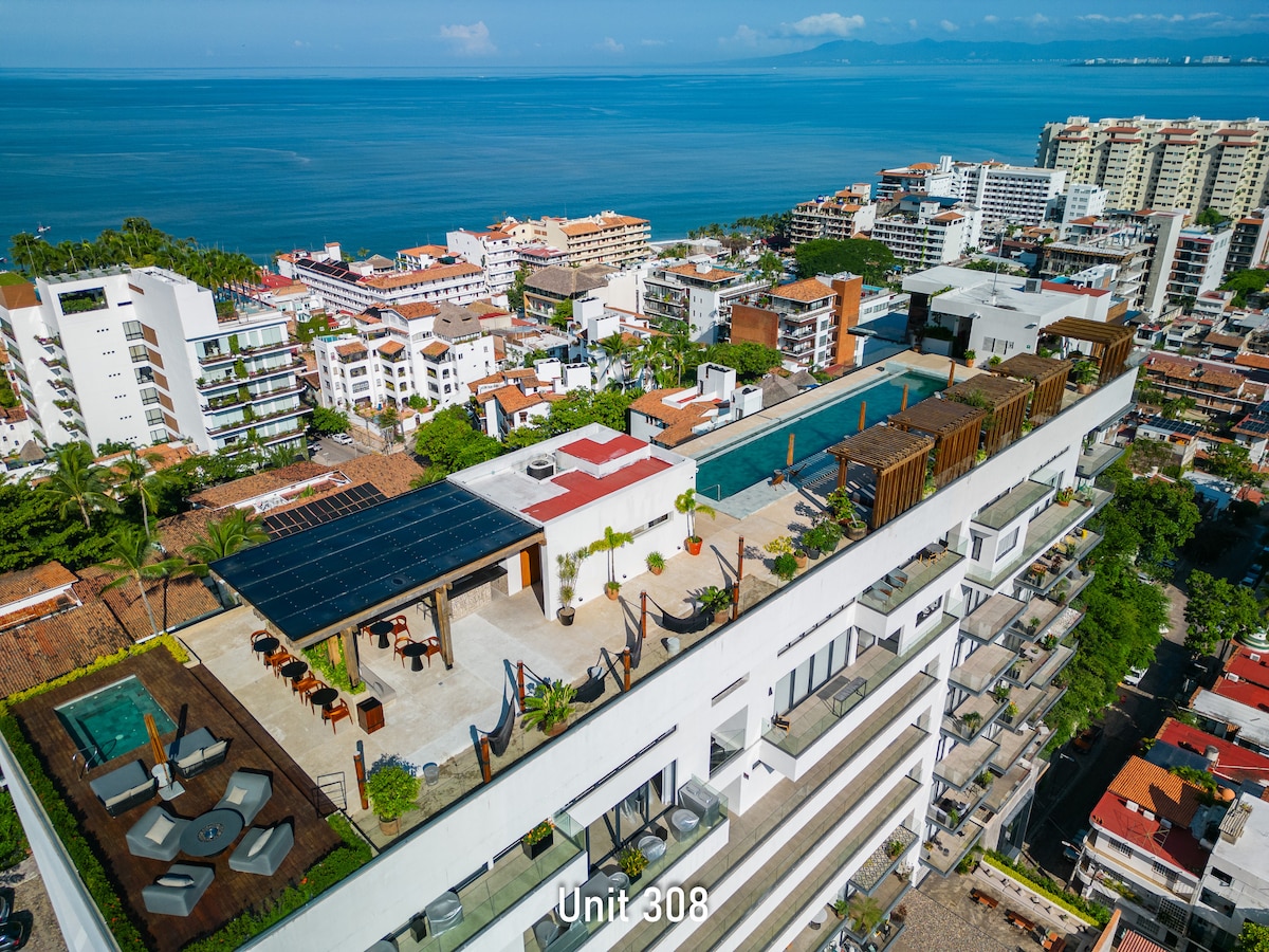 The locals at Casa Duende Vista - Picture of Casa Duende Vista, Sayulita -  Tripadvisor