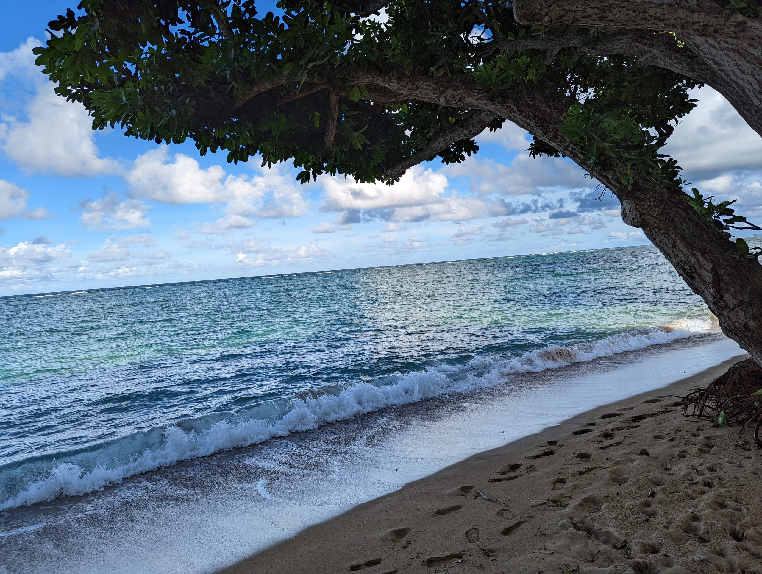 Condo in Hauula · ★4.77 · 1 bedroom · 2 beds · 1 private bath - Image 22