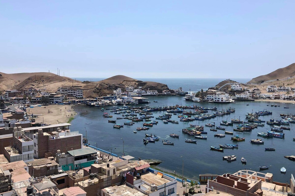 A panoramic view showcases a coastal town with numerous boats anchored in the water. The landscape is framed by rolling hills and offers a glimpse of buildings lining the waterfront, contributing to the serene harbor atmosphere.