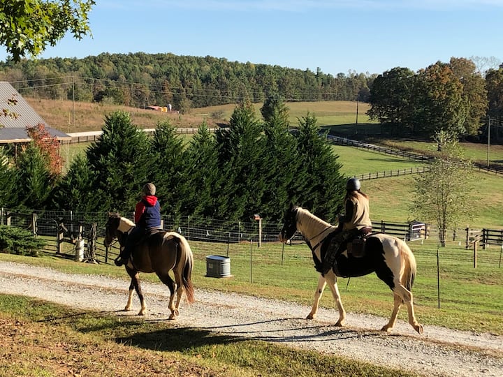 Top 10 Ranches To Stay In South Carolina, USA Updated 2024 Trip101