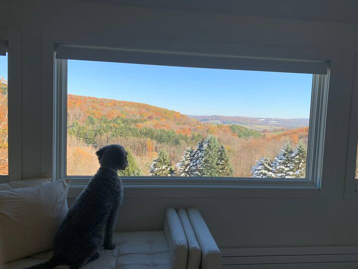 Tutti amano la vista, anche il nostro cane Jerry. Questa è la camera da letto principale al piano di sopra.