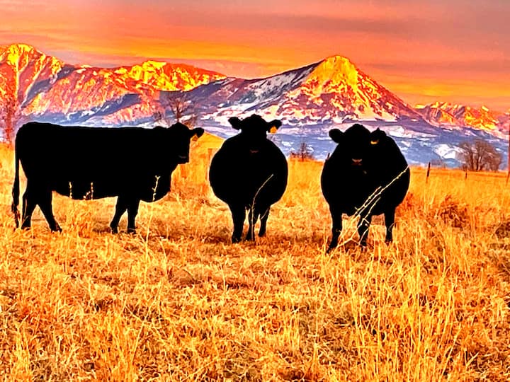 Paonia Vacation Rentals Airbnb