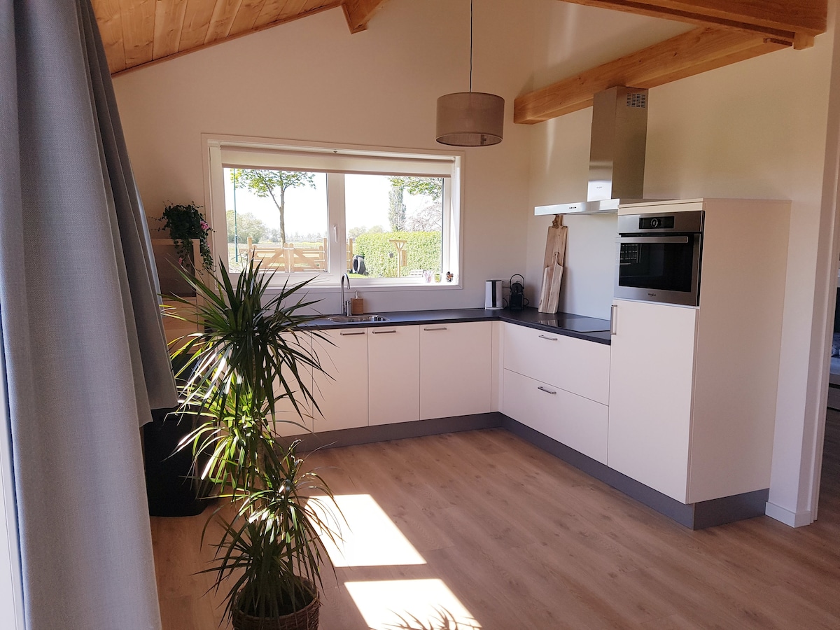 A modern kitchen features sleek, white cabinetry and a dark countertop. Natural light enters through a large window, creating a bright atmosphere. A potted plant adds a touch of greenery, and essential appliances, such as a microwave and coffee maker, are conveniently positioned.