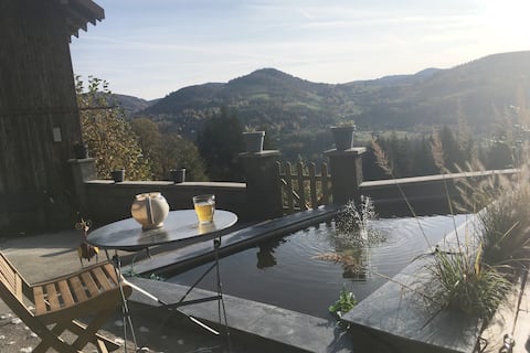 Jacuzzi, stone sauna, fireplace, fiber internet