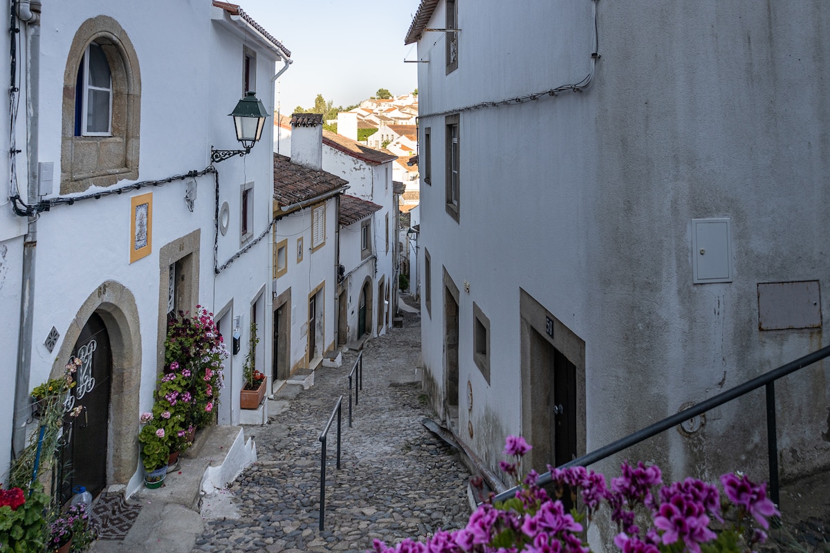 A narrow cobblestone street is lined with whitewashed buildings featuring colorful accents. Potted flowers add vibrancy to the scene, while a vintage lamppost stands at the side. The gentle slope of the street leads the eye toward the rooftops of the village in the background.