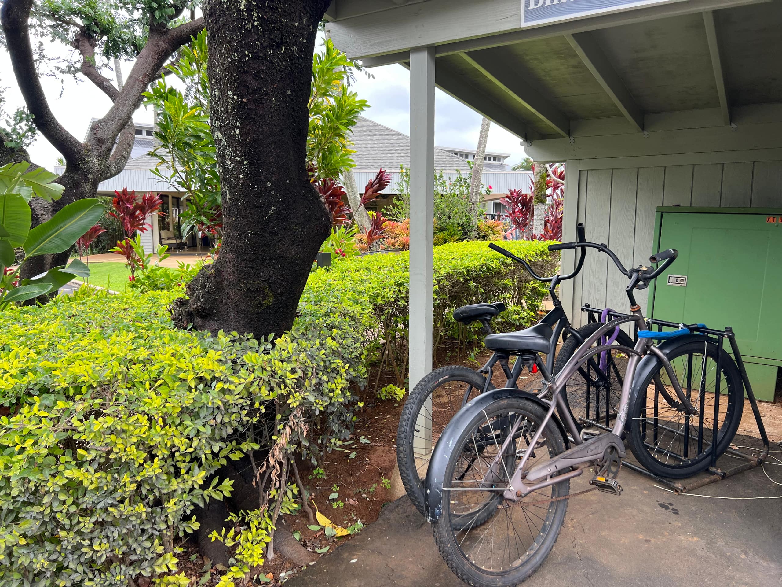 Condo in Princeville · ★4.96 · Studio · 1 bed · 1 bath - Image 12
