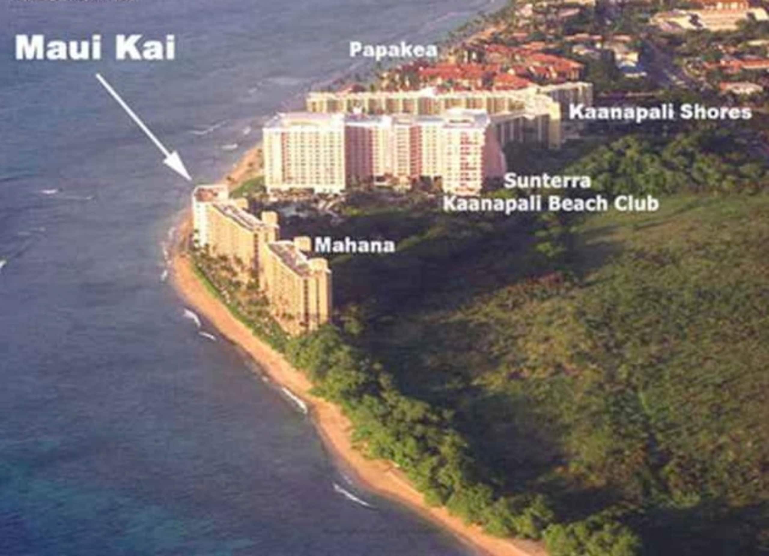 Condo in Lahaina · ★4.83 · 1 bedroom · 2 beds · 1 bath - Image 14