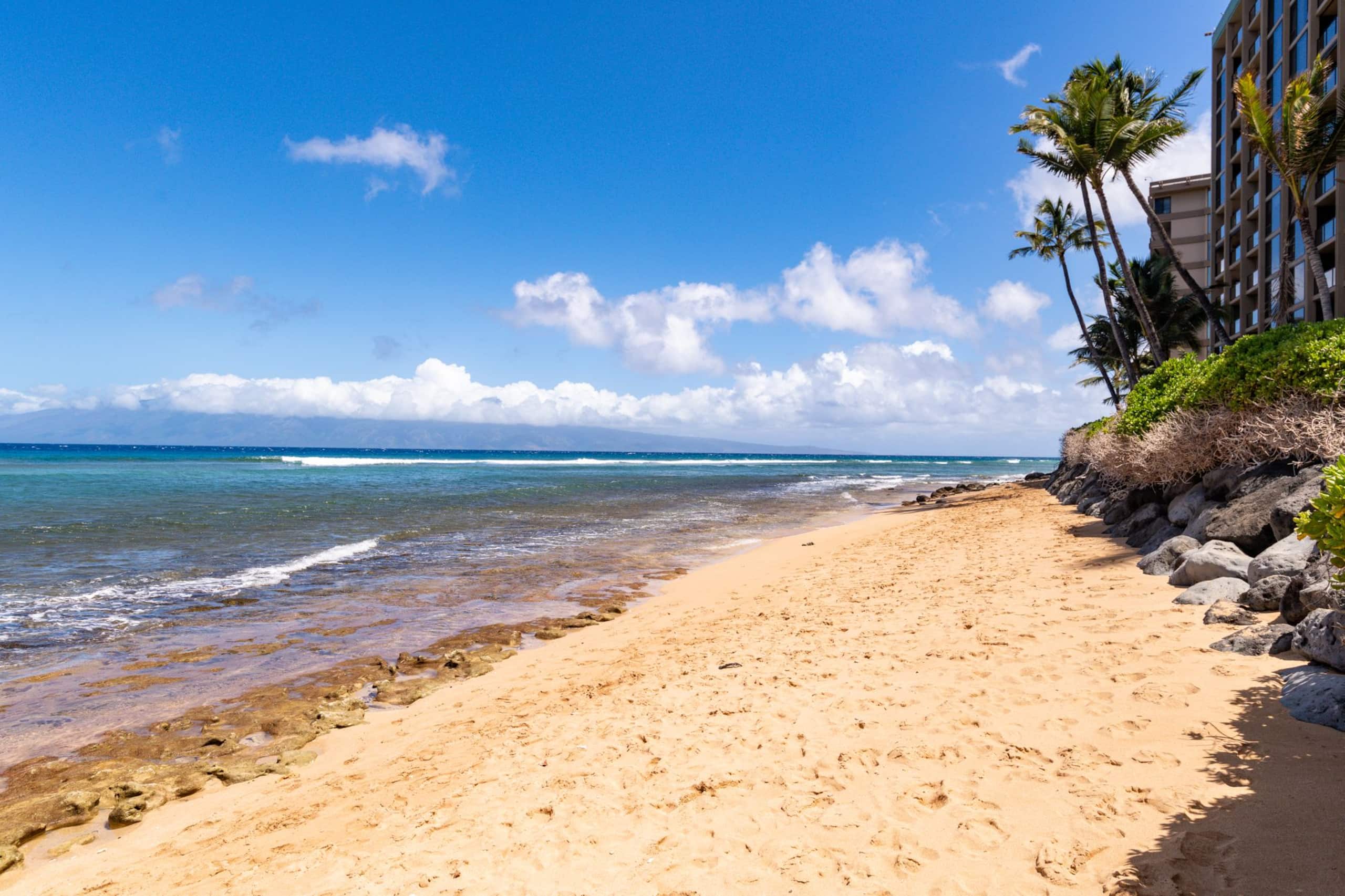 Condo in Lahaina · ★4.98 · Studio · 2 beds · 1 bath - Image 20