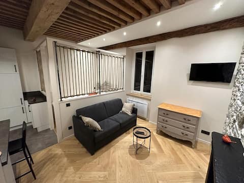 Top performing Airbnb: Studio "Le 1729" in the historic center in Chambéry