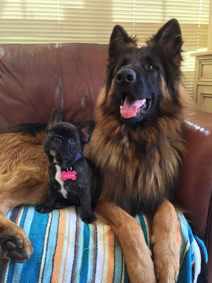 10 Best Airbnb Vacation Rentals In Goolwa, Australia Updated 2024