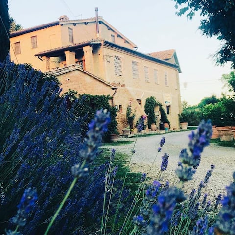 Apartment in Tuscan farm house.