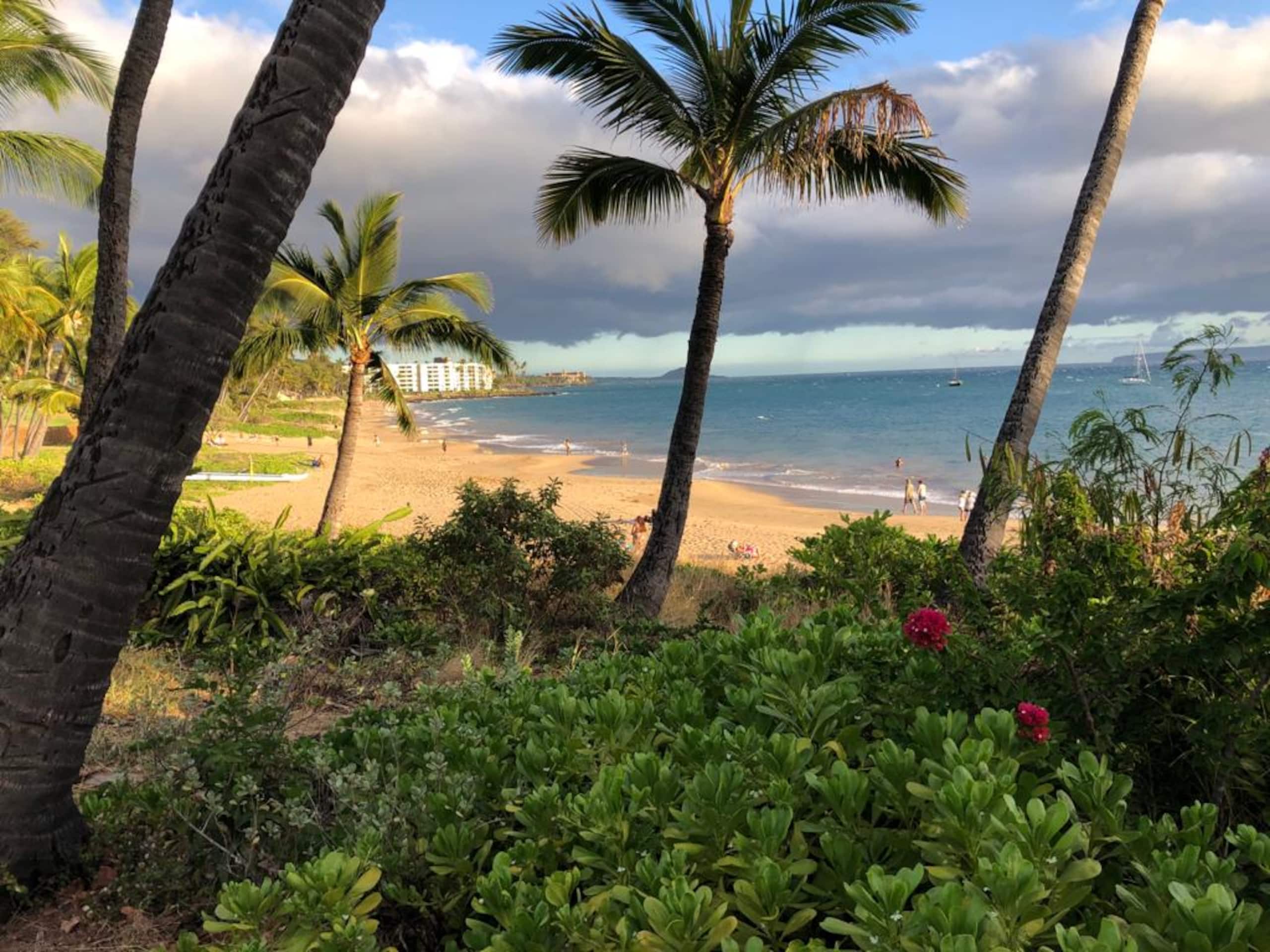 Condo in Kihei · ★4.96 · 2 bedrooms · 3 beds · 2 baths - Image 26