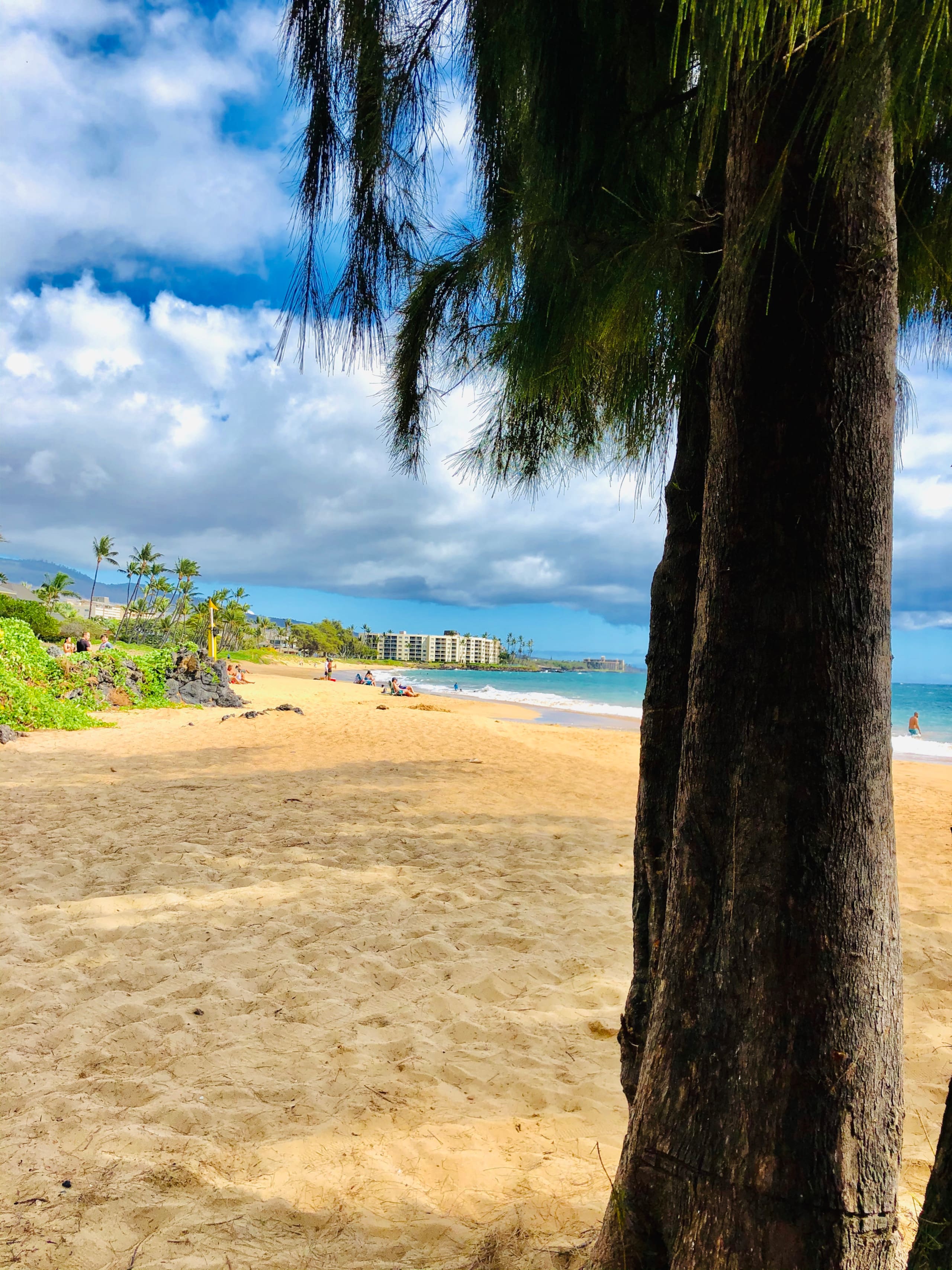 Condo in Kihei · ★4.96 · 2 bedrooms · 3 beds · 2 baths - Image 24