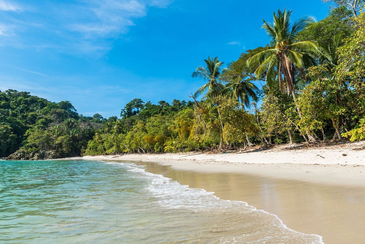 A serene beach scene captures gentle waves lapping at the shore, where soft golden sand meets clear turquoise water. Lush greenery and palm trees frame the edges, providing a natural backdrop to the inviting landscape.