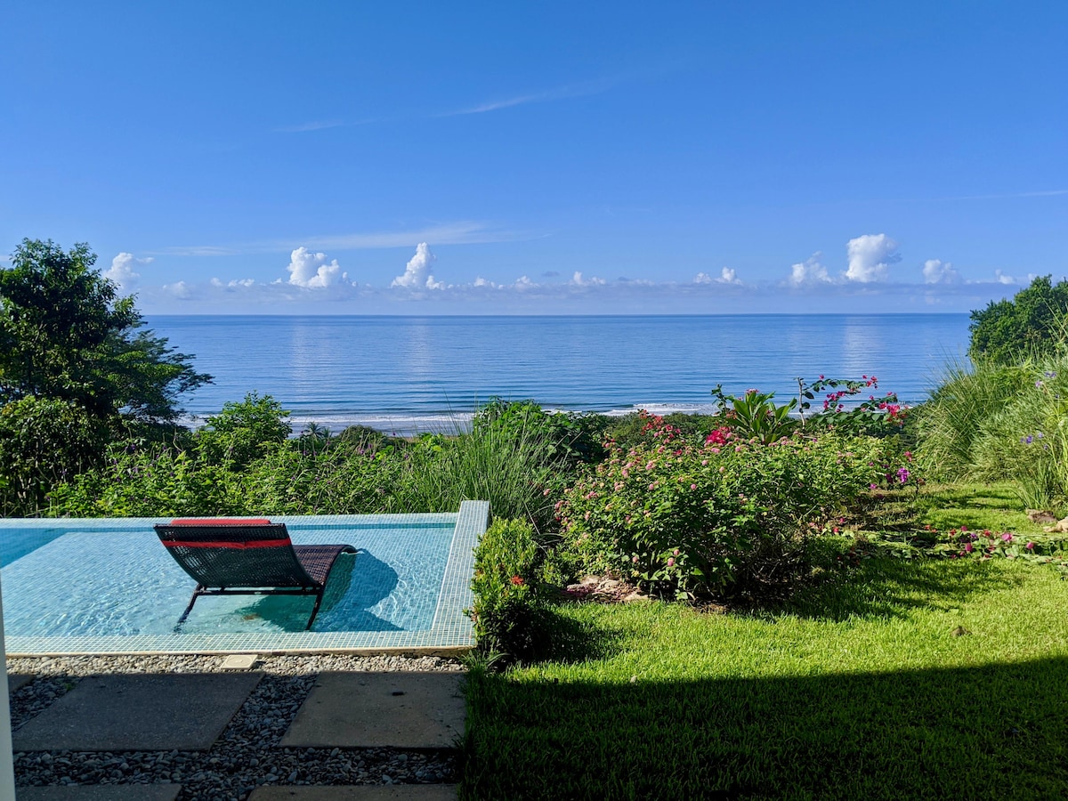 An infinity pool glimmers under clear blue skies, with a single lounger positioned for relaxation. Lush greenery and vibrant flowers frame the view, leading to the calm ocean waves gently lapping against the shore in the distance.