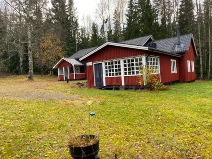 Flyberg Hovfjället Torsby 2 Häuser ab 6 Personen Houses for Rent in