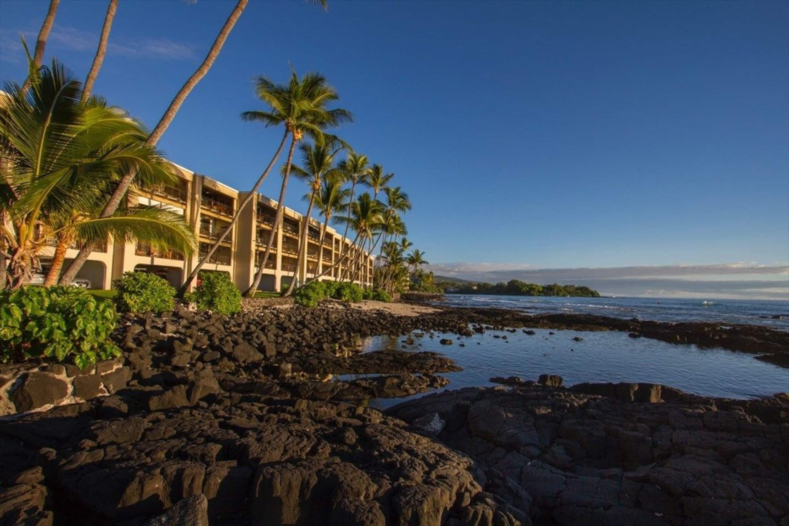 Condo in Kailua-Kona · ★4.96 · 2 bedrooms · 2 beds · 2 baths - Image 45