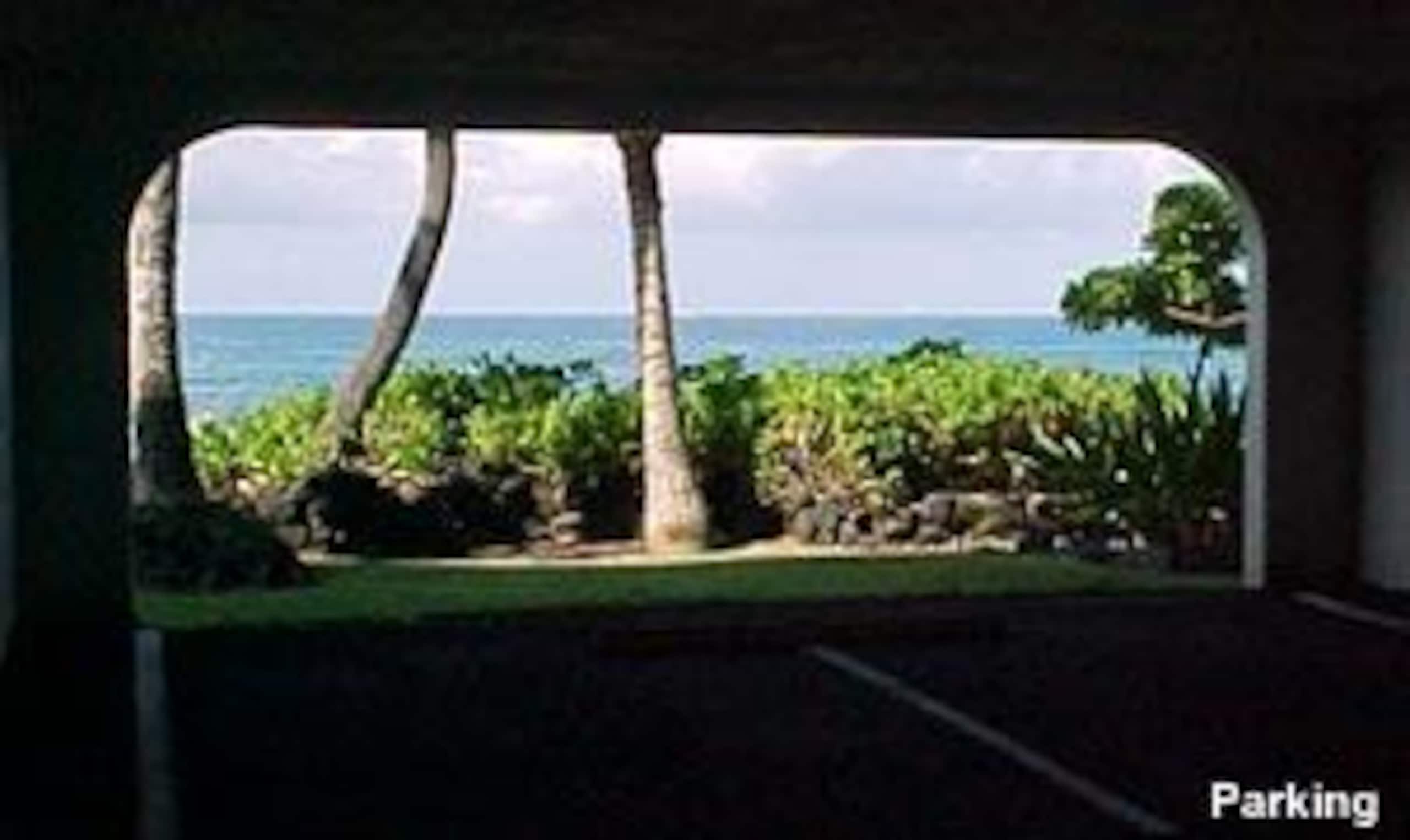 Condo in Kailua-Kona · ★4.96 · 2 bedrooms · 2 beds · 2 baths - Image 29