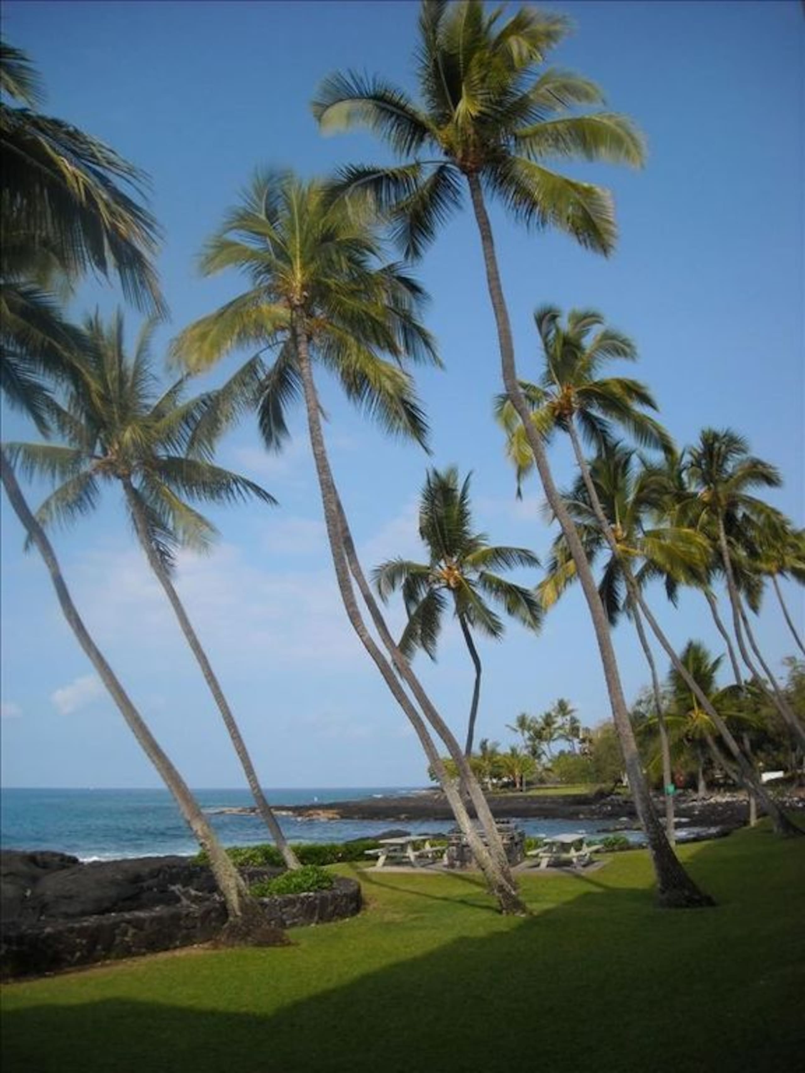 Condo in Kailua-Kona · ★4.96 · 2 bedrooms · 2 beds · 2 baths - Image 26