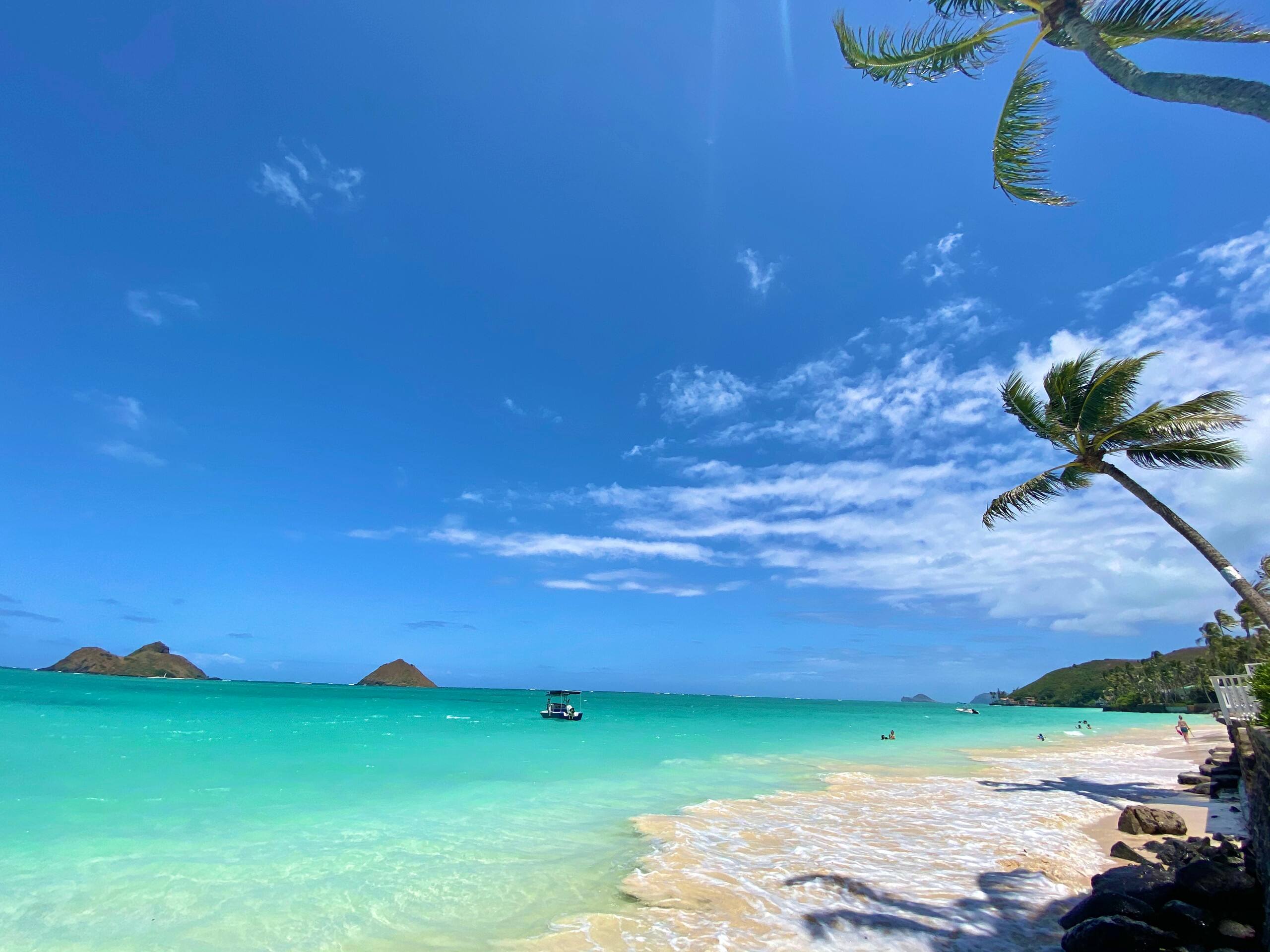 Condo in Honolulu · ★4.84 · Studio · 2 beds · 1 bath - Image 10