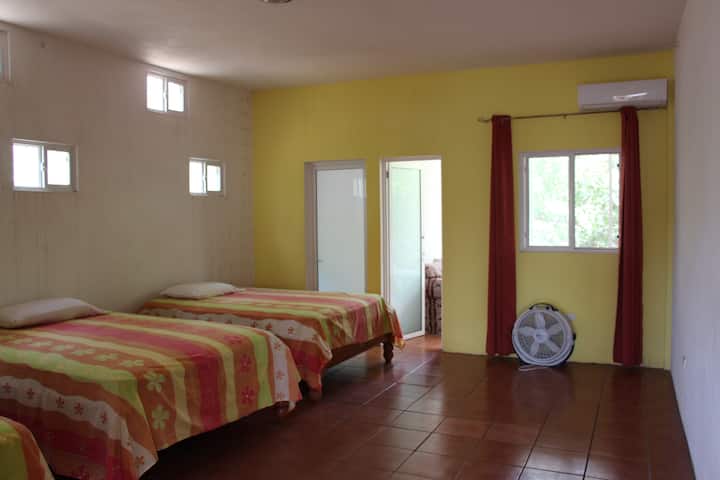 Habitación 1