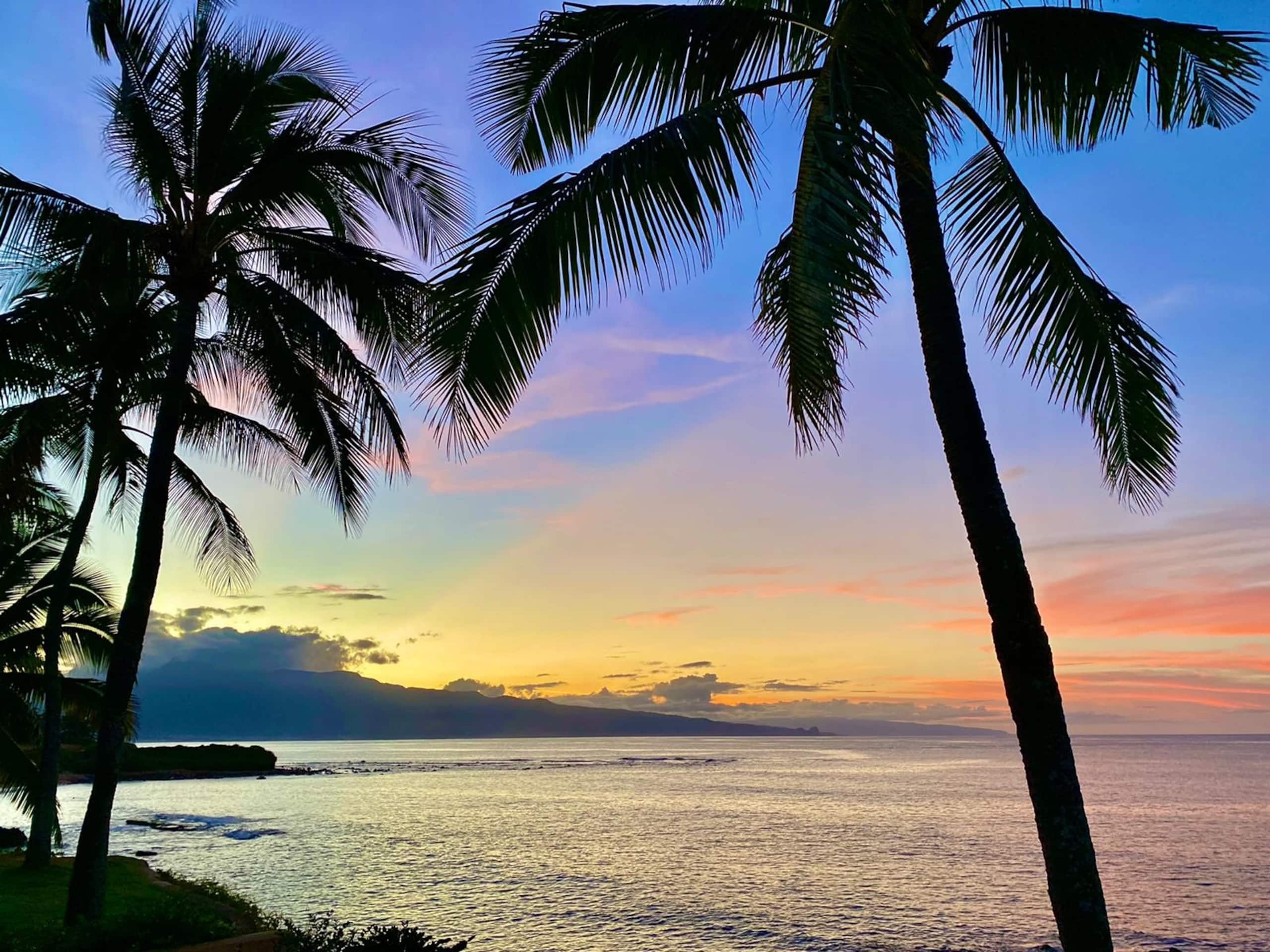 Villa in Paia · ★4.94 · 4 bedrooms · 4 beds · 2 baths - Photo 36