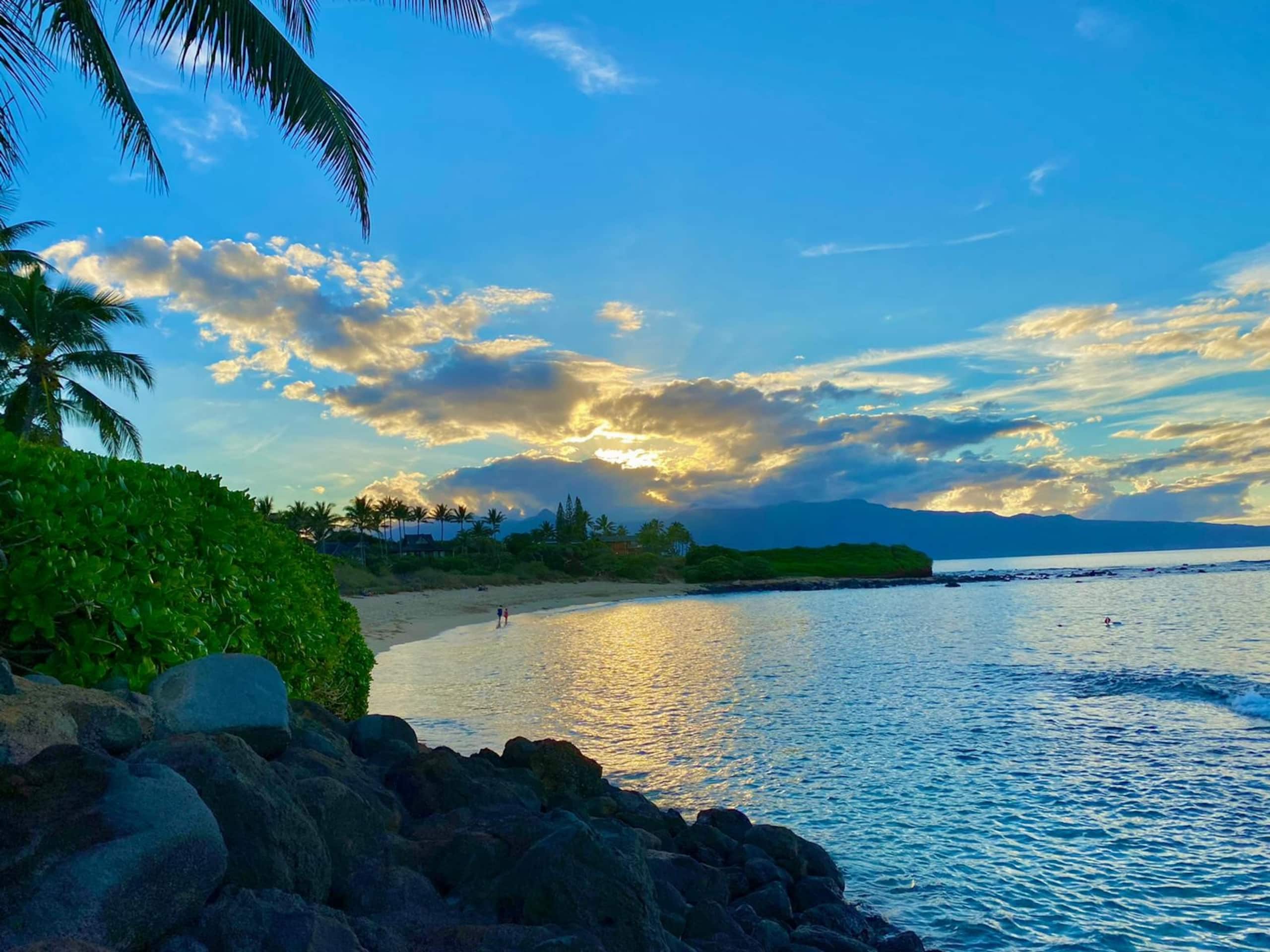 Villa in Paia · ★4.94 · 4 bedrooms · 4 beds · 2 baths - Photo 40