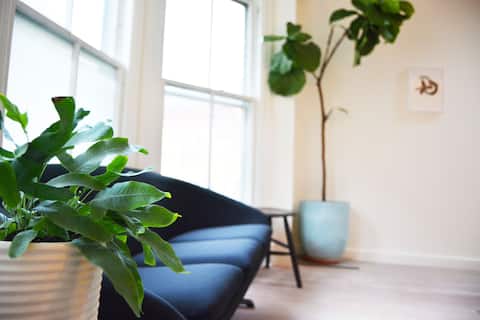 Top Airbnb: Airy Modern Apartment in the Uptown Kingston in Kingston