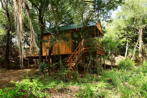 The Hidden Valley: Riverfront Cabin One