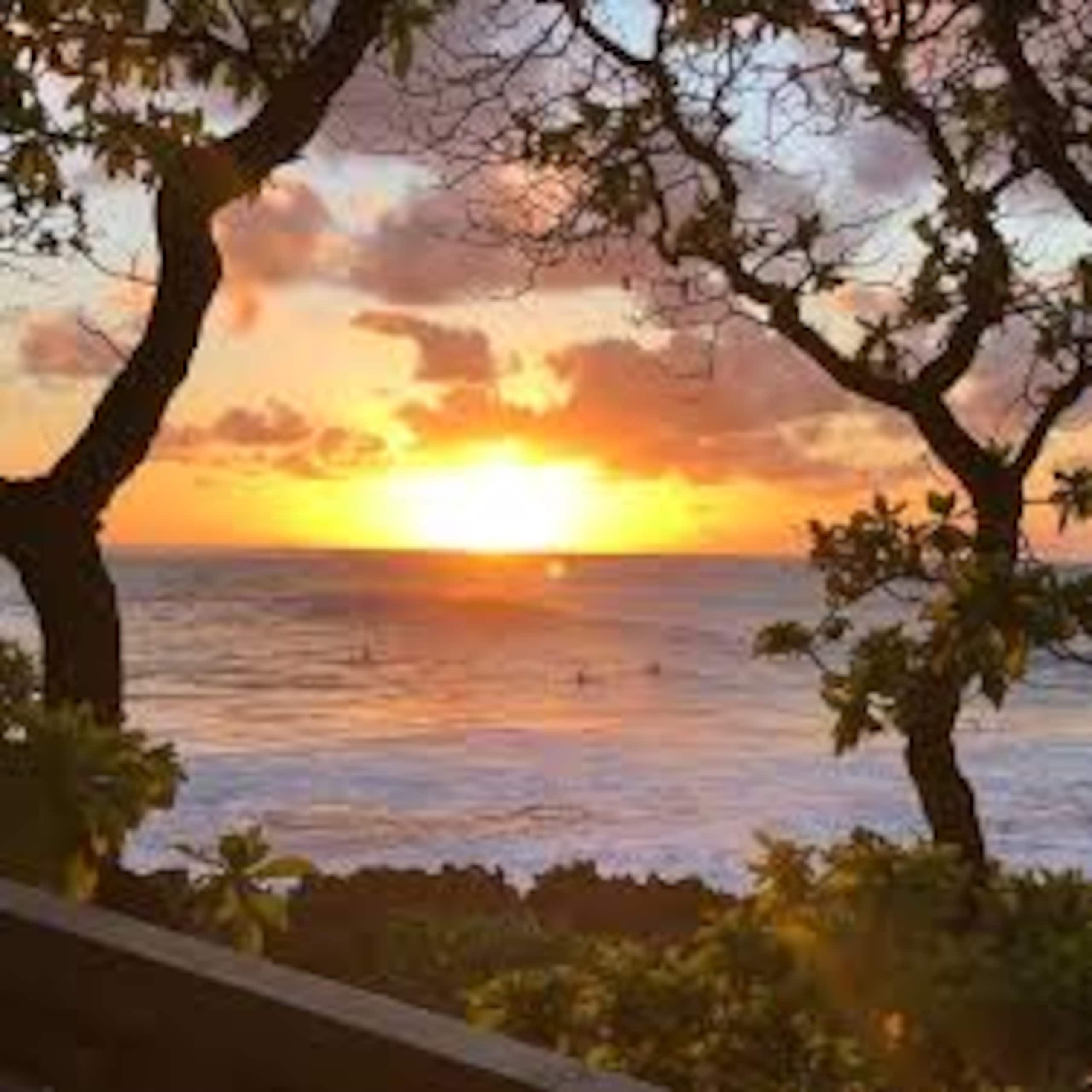 Condo in Kahuku · ★4.96 · 2 bedrooms · 3 beds · 1 private bath - Image 7
