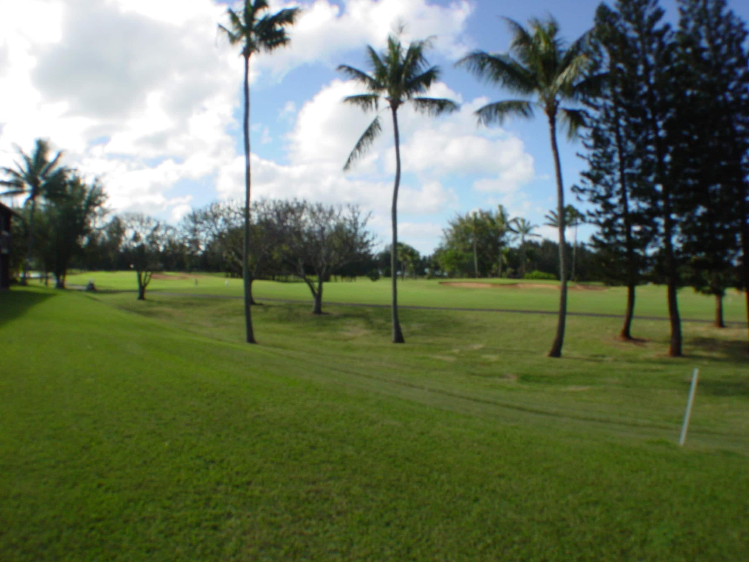 Condo in Kahuku · ★4.96 · 2 bedrooms · 3 beds · 1 private bath - Image 6