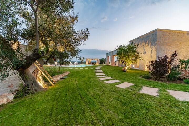 Tenuta Lamia degli Ulivi – Ancient Lamia in Ostuni gallery image 4